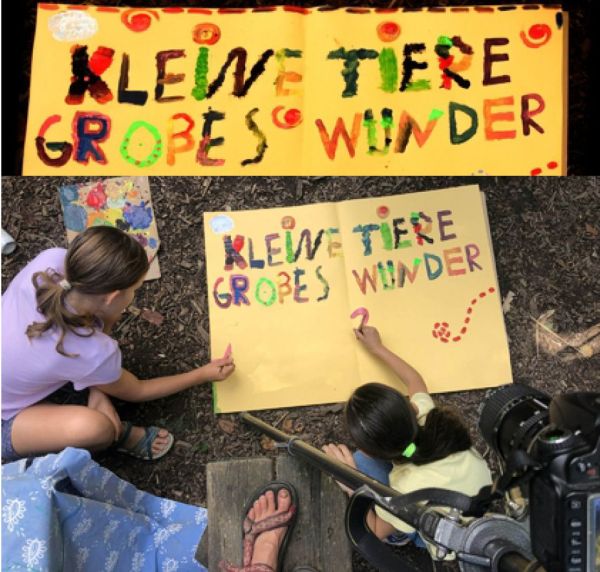 Kleine Tiere - Großes Wunder - Vom ersten Bild zum großen Finale 